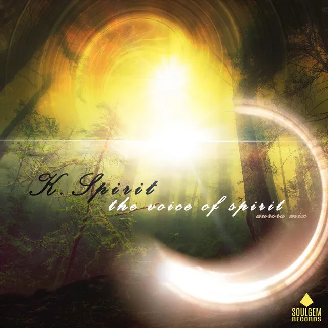 The voice of spirit - Aurora Mix