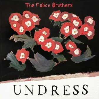 Poor Blind Birds by The Felice Brothers