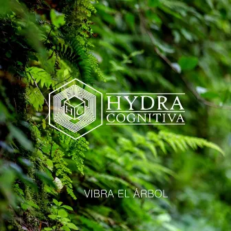 Vibra el arbol by Hydra Cognitiva