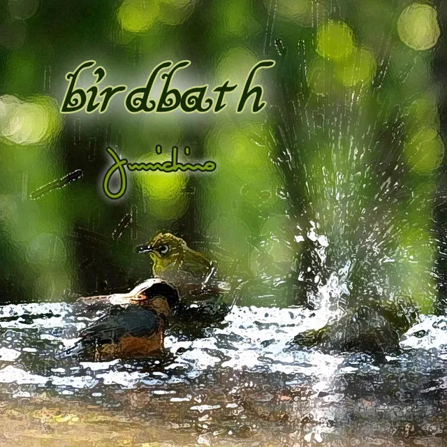 birdbath