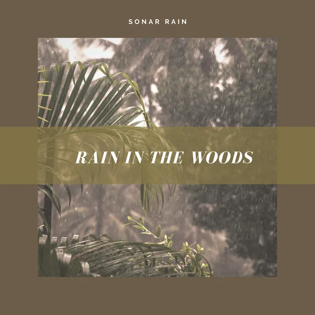 Rain in the Woods