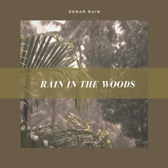 Rain in the Woods by Sonar Rain