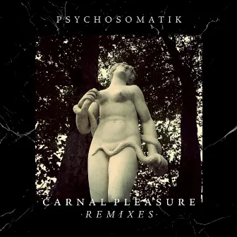 Carnal Pleasure •Remixes• by PSYCHOSOMATIK