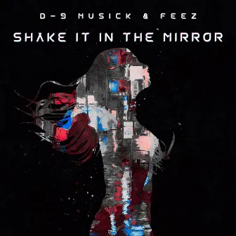 Shake It in the Mirror Single by D-9 Musick