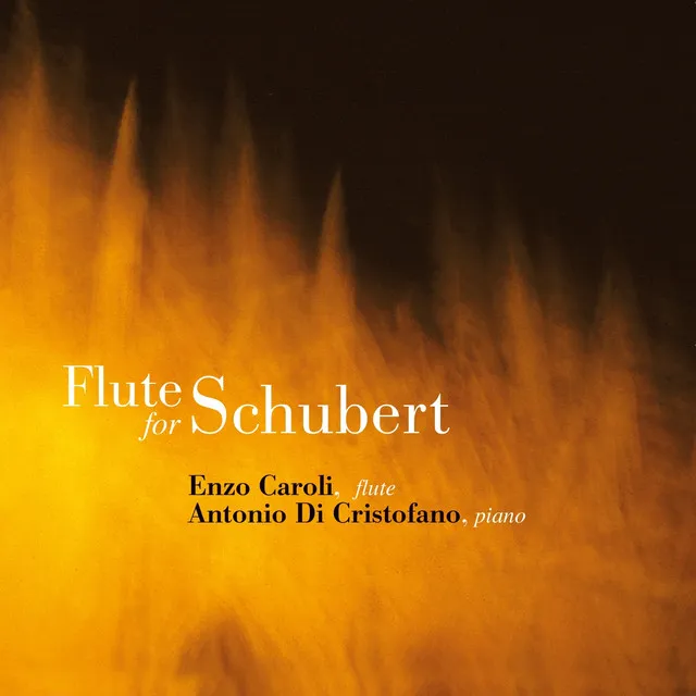 Sonata in A Minor, D. 821 "Arpeggione": I. Allegro moderato - Arranged for Flute and Piano