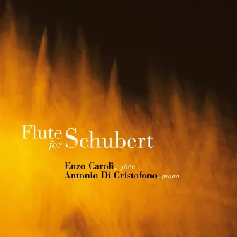 Flute for Schubert by Enzo Caroli