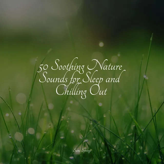 50 Soothing Nature Sounds for Sleep and Chilling Out