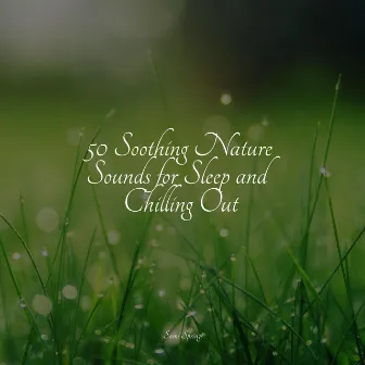 50 Soothing Nature Sounds for Sleep and Chilling Out by Rain Makers