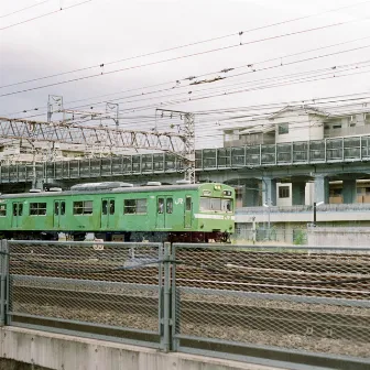 We Were Sittin' on the Train Talking About Birds by Ally Mobbs