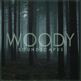 Woody Soundscapes: Forest Relaxation Music by Birds Singing Academy