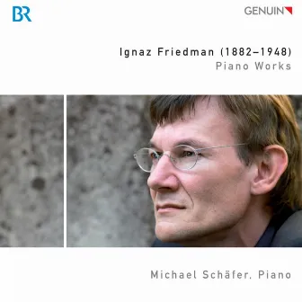 Friedman: Piano Works by Michael Schafer