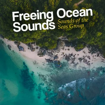 Freeing Ocean Sounds by Unknown Artist