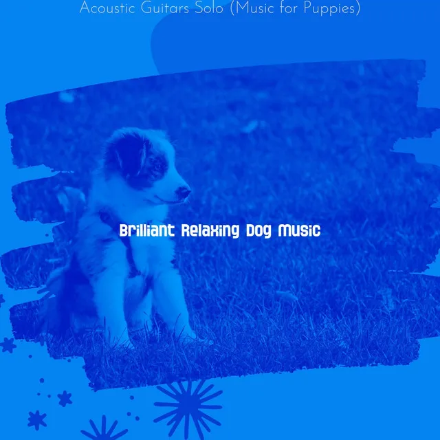 Acoustic Guitars Solo (Music for Puppies)