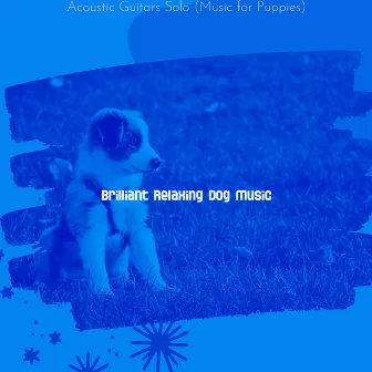 Acoustic Guitars Solo (Music for Puppies) by 