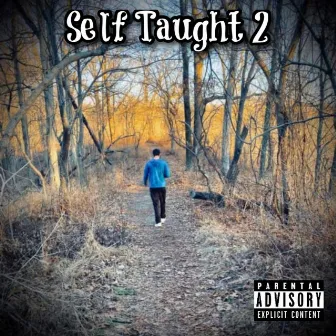 Self Taught 2 by HEXX