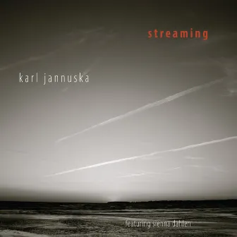 Streaming by Karl Jannuska