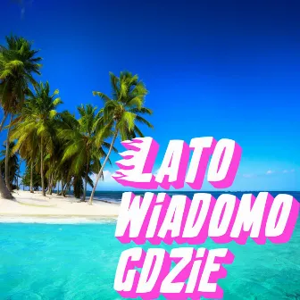 Lato wiadomo gdzie (Montup’ Remix) by Montup