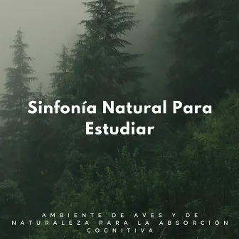 Sinfonía Natural Para Estudiar: Ambiente De Aves Y De Naturaleza Para La Absorción Cognitiva by Elenco Junior Express