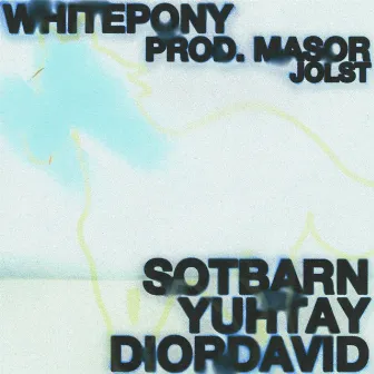 White Pony by dior david