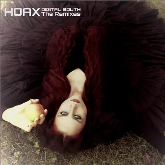 Hoax (The Remixes) by Digital South