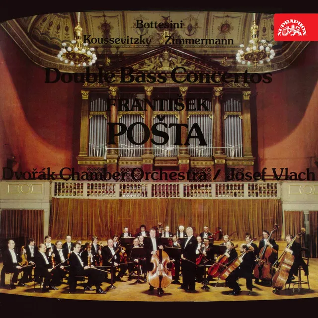 Concerto for Double Bass and Orchestra in D Major: II. Andante Contabile