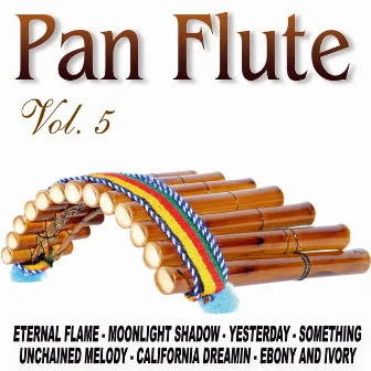 Pan Flute Vol.5 by The Instrumental Pan Pipes Band