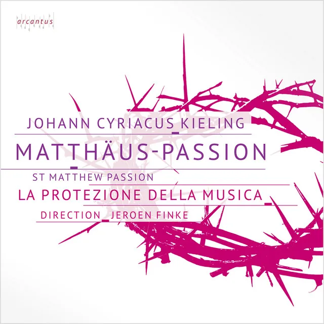 Matthäus-Passion: No. 16, Da kam Jesus mit ihnen zu einem Hofe