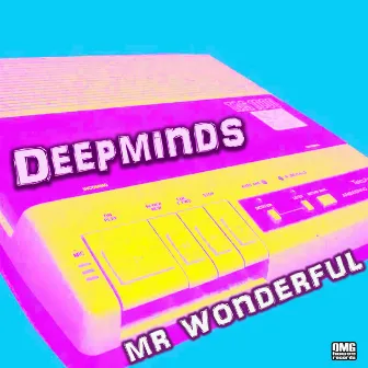 Mr Wonderful by Deepminds