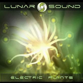 Electric Plants by Lunar Sound