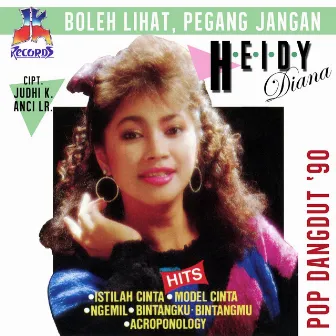 Boleh Lihat Pegang Jangan by Heidy Diana