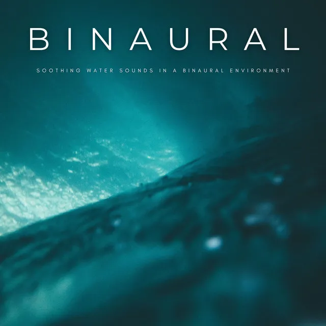 Binaural Soundscape