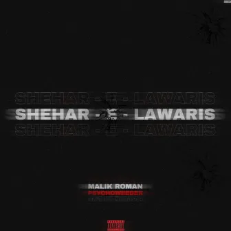 Shehar e Lawaris by Malik Roman