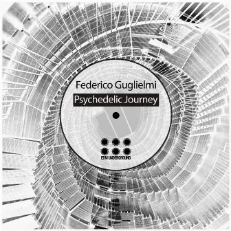 Psychedelic Journey by Federico Guglielmi