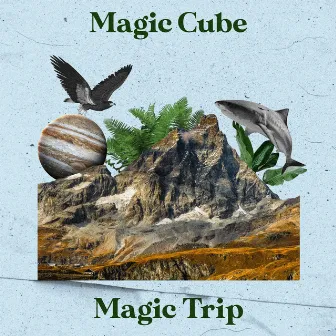 Magic Trip by Magic Cube