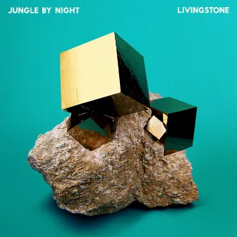 Livingstone by Jungle by Night