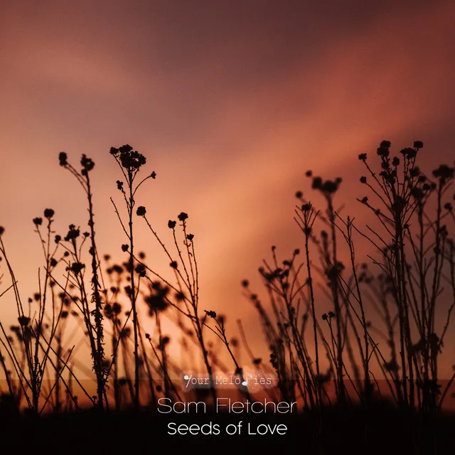 Seeds of Love - Radio Edit