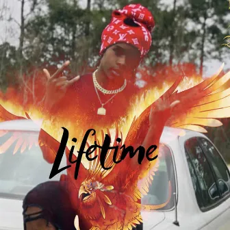 Lifetime by YNQ