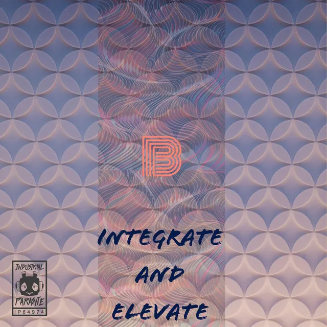 Integrate And Elevate