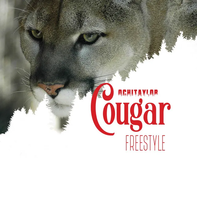 Cougar Freestyle