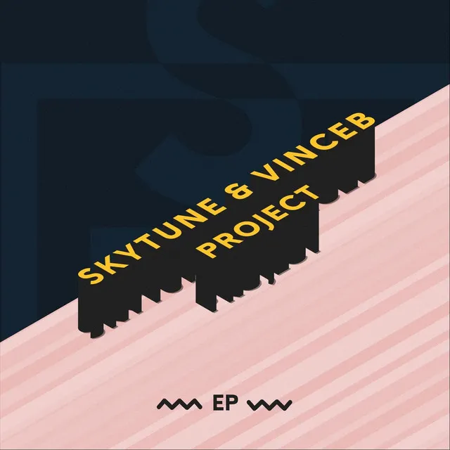 Skytune & Vince B. Project