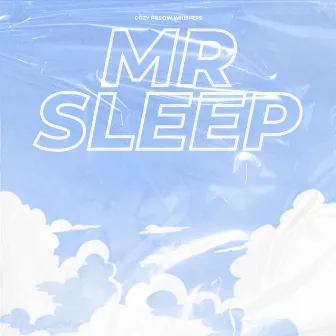 Cozy Pillow Whispers by Mr Sleep