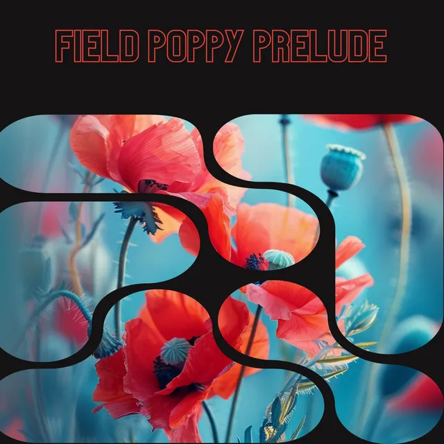 Field Poppy Prelude - Floral Health