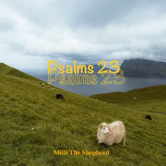 Psalms 23 by Milli The Shepherd