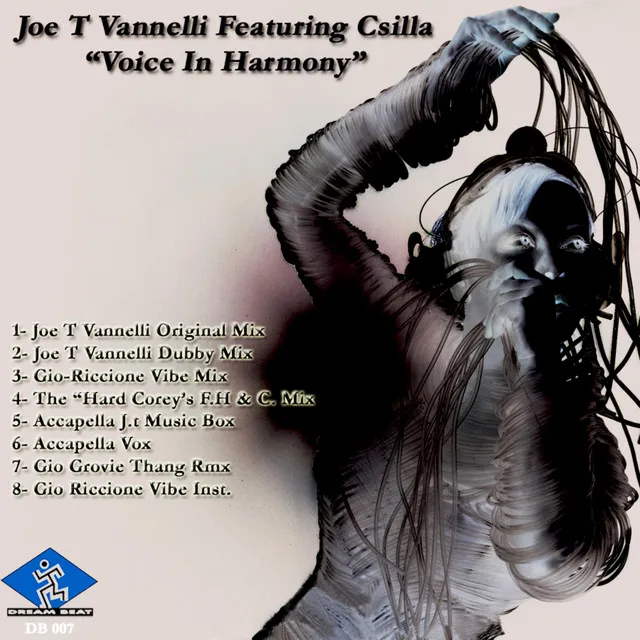 Voice in Harmony - Joe T Vannelli Original Mix