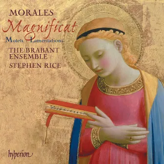 Morales: Magnificat, Motets & Lamentations by The Brabant Ensemble