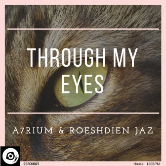 Through My Eyes by Roeshdien Jaz