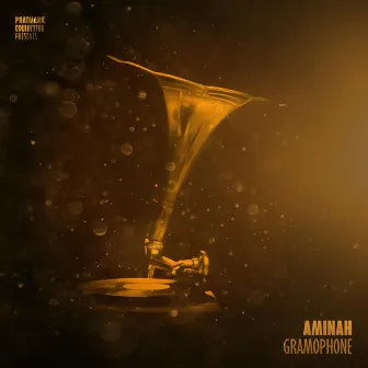 Gramophone by Aminah