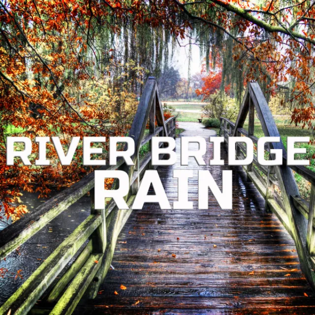 River Bridge Rain Atmosphere - Wild Rain Sounds Remix