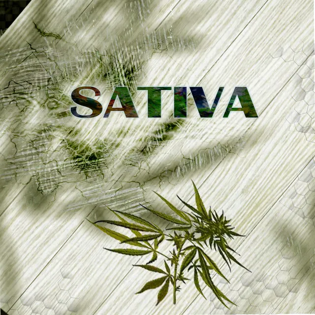 Sativa