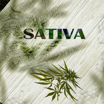 Sativa by Gsus